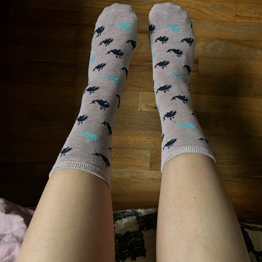 Used Woman’s Socks